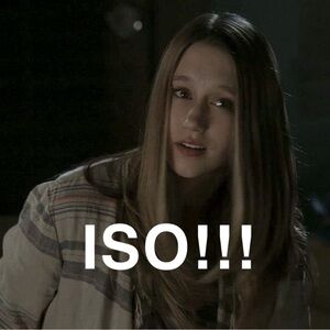 ISO!! DO NOT BUY!! Chloe K feather tee